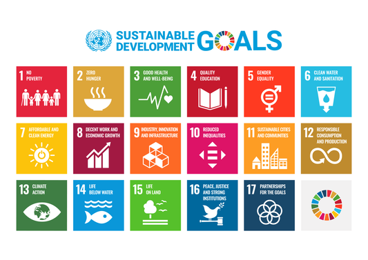 Sustainable Development Goals and Purcell Dispensers and Refill Systems